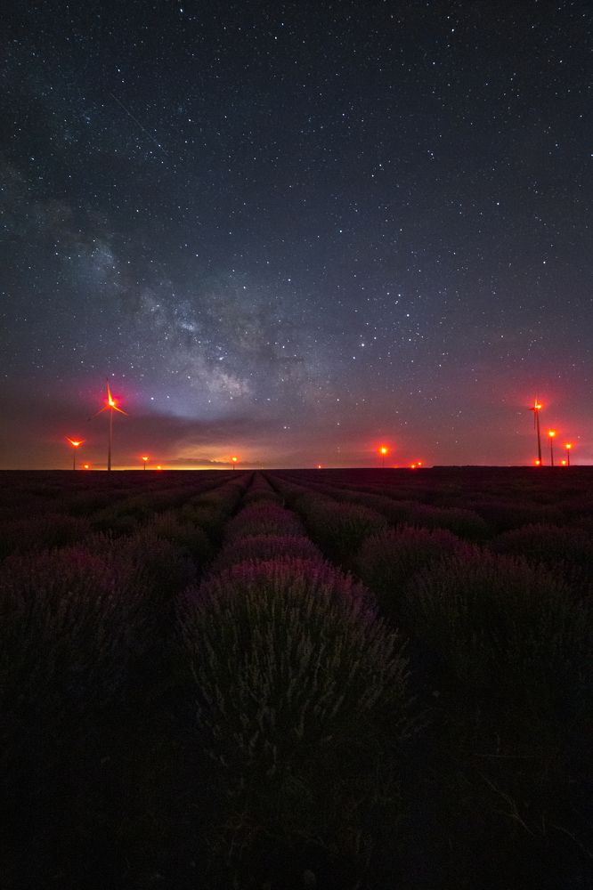 Photograph by Tihomir Stoykov