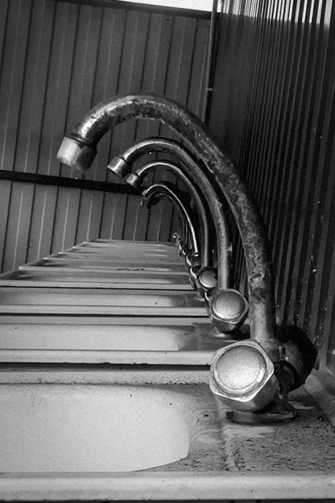 Photograph by Стариков Алексей