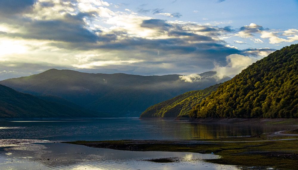 Photograph by Alex Kalpus