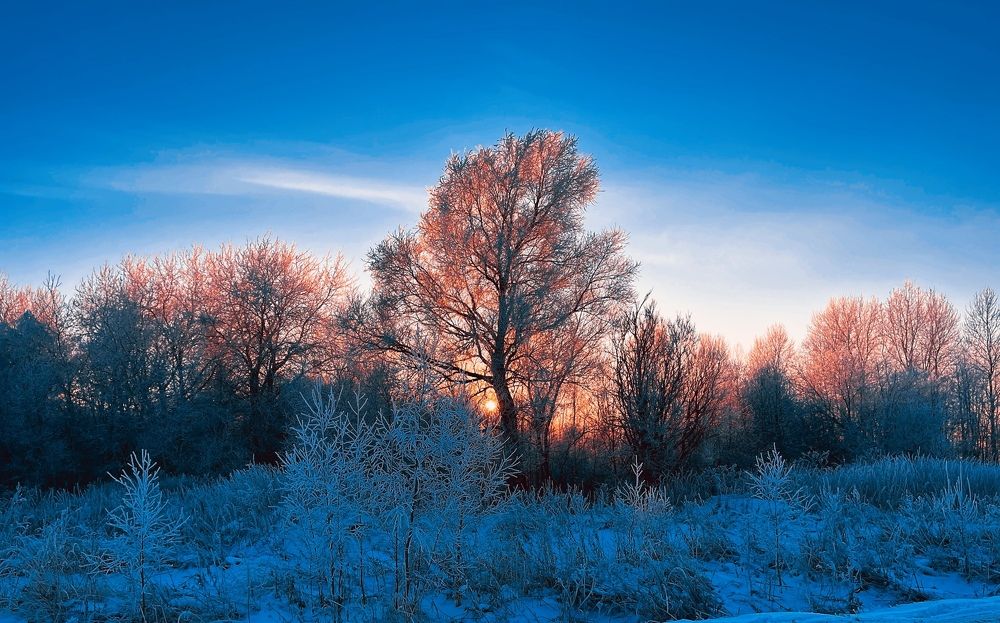 Photograph by Лыжин Григорий