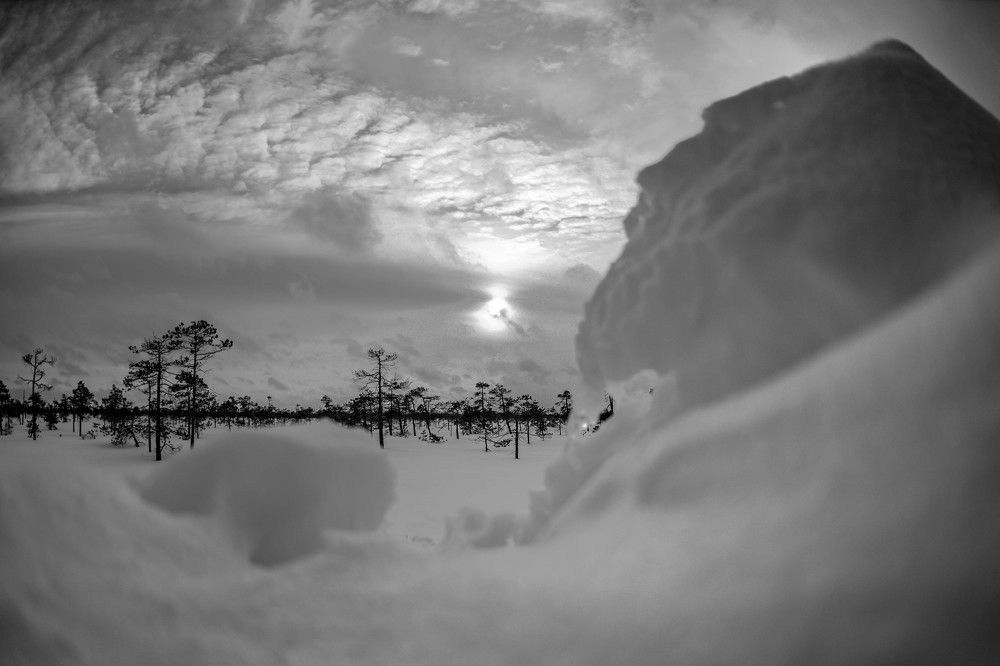 Photograph by Алексей Ильин