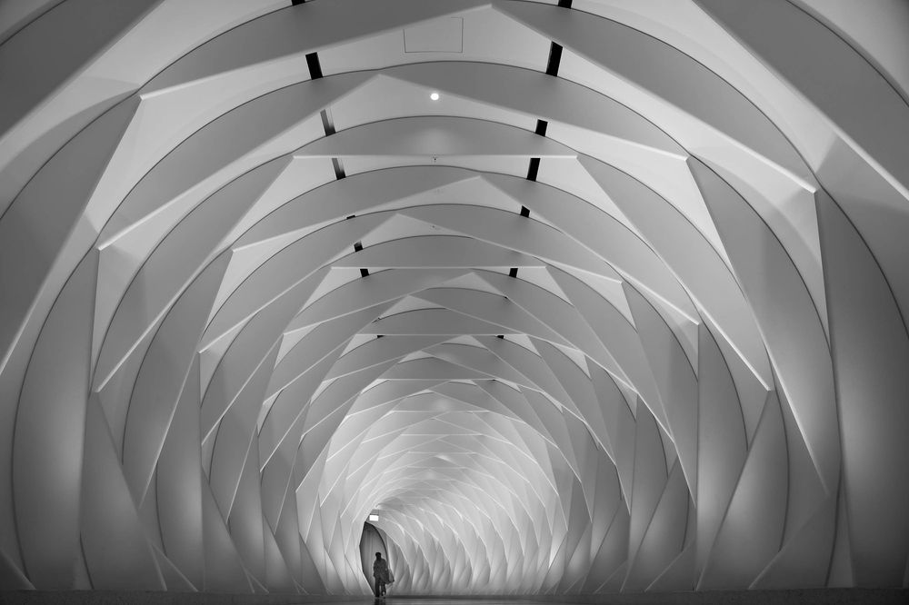 Фотография автора Amin Malekzadeh