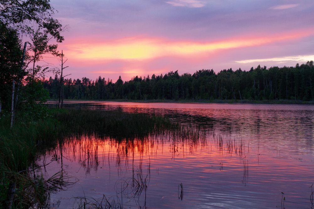 Photograph by Екатерина Овсянникова