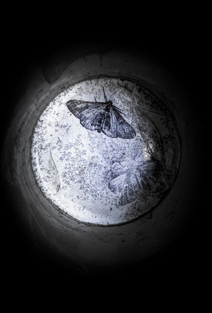 Фотография автора Ксения Шляйхер