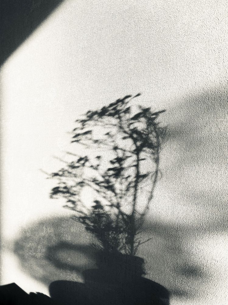 Photograph by Екатерина Бердутина