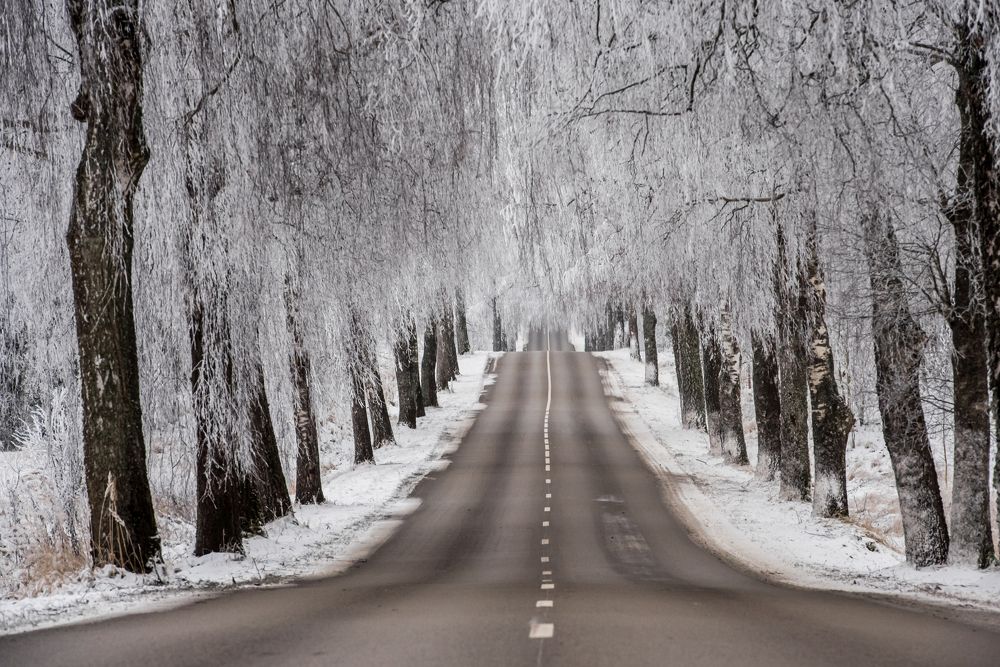 Photograph by Žaneta Bytautiene