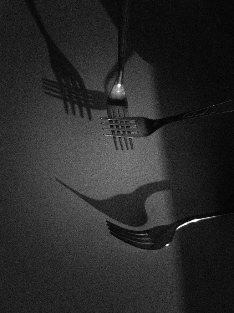 Photograph by Ксения Незговорова