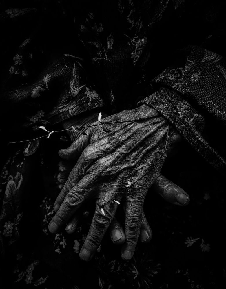 Photograph by Ingrida Urbonaviciene