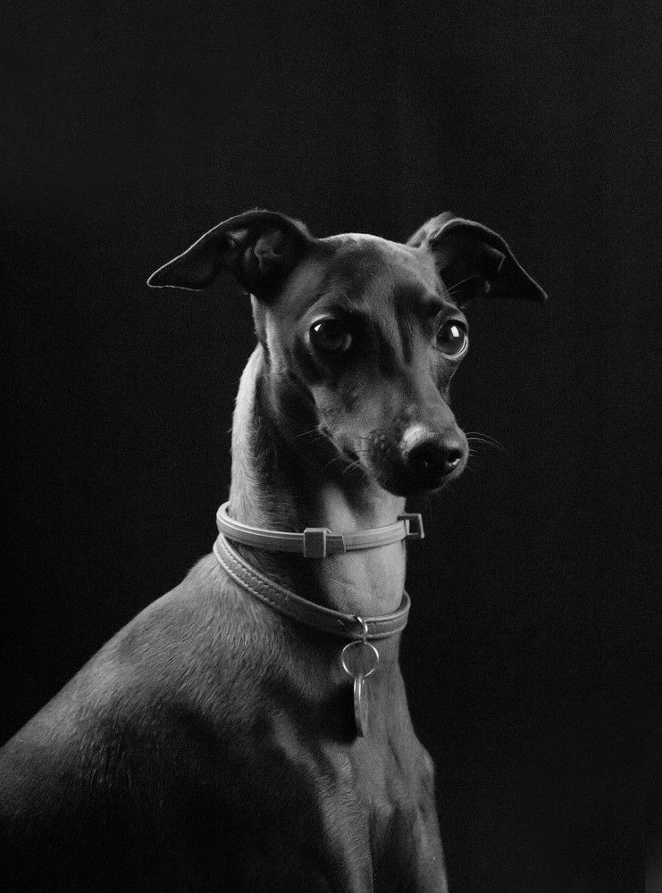 Photograph by Lena Hanten