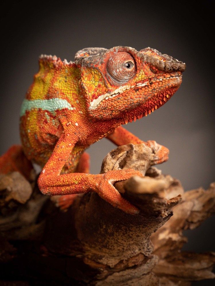 Photograph by Lena Hanten