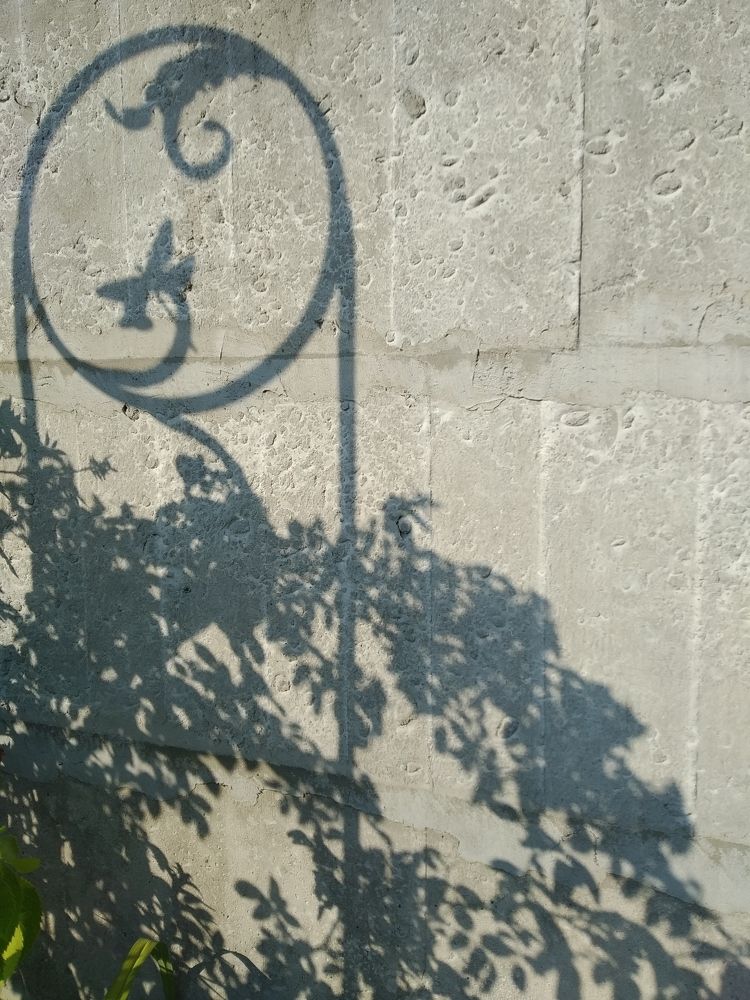 Фотография автора Наталья Боярина