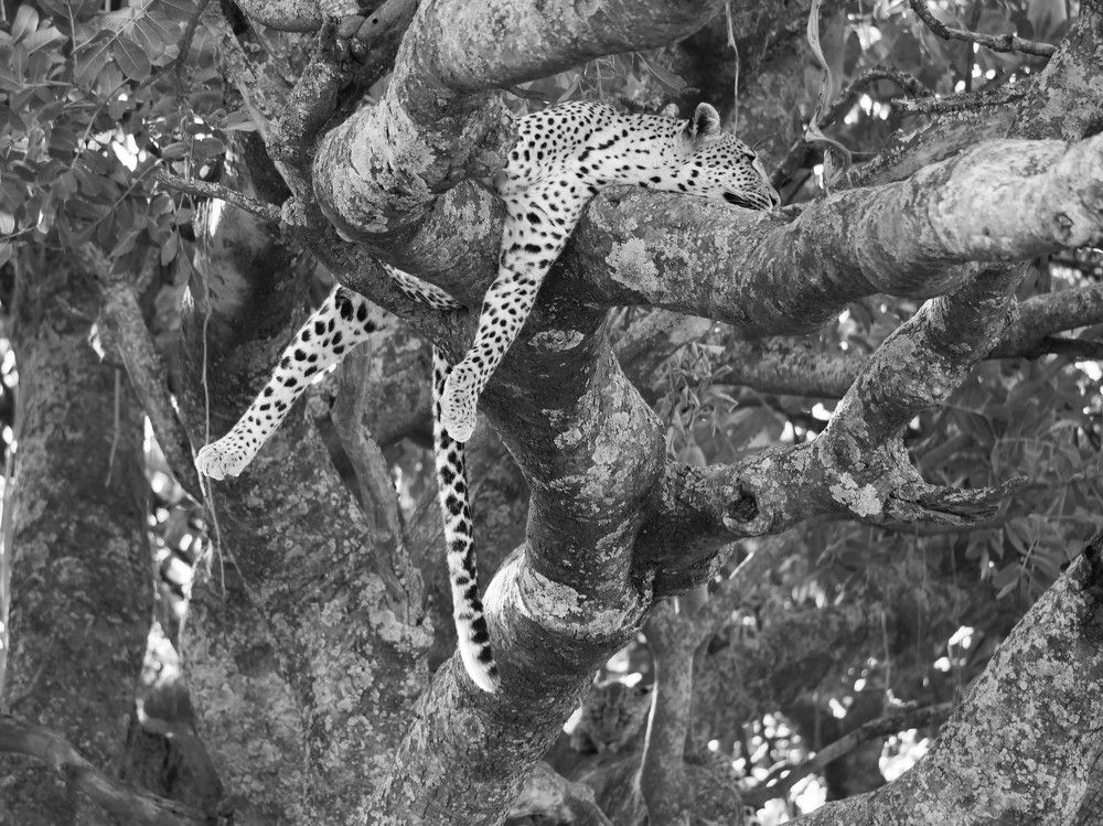 Photograph by Lena Hanten