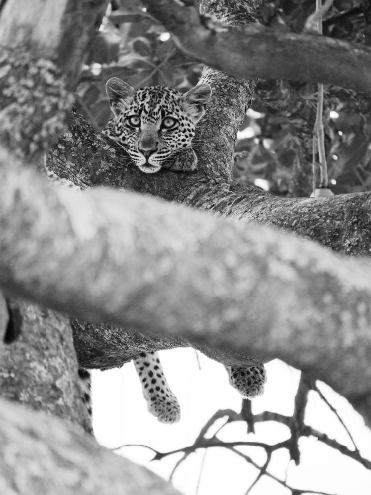 Photograph by Lena Hanten