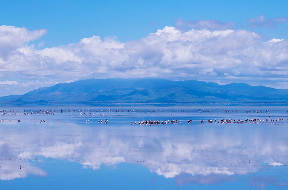 Photograph by Lena Hanten