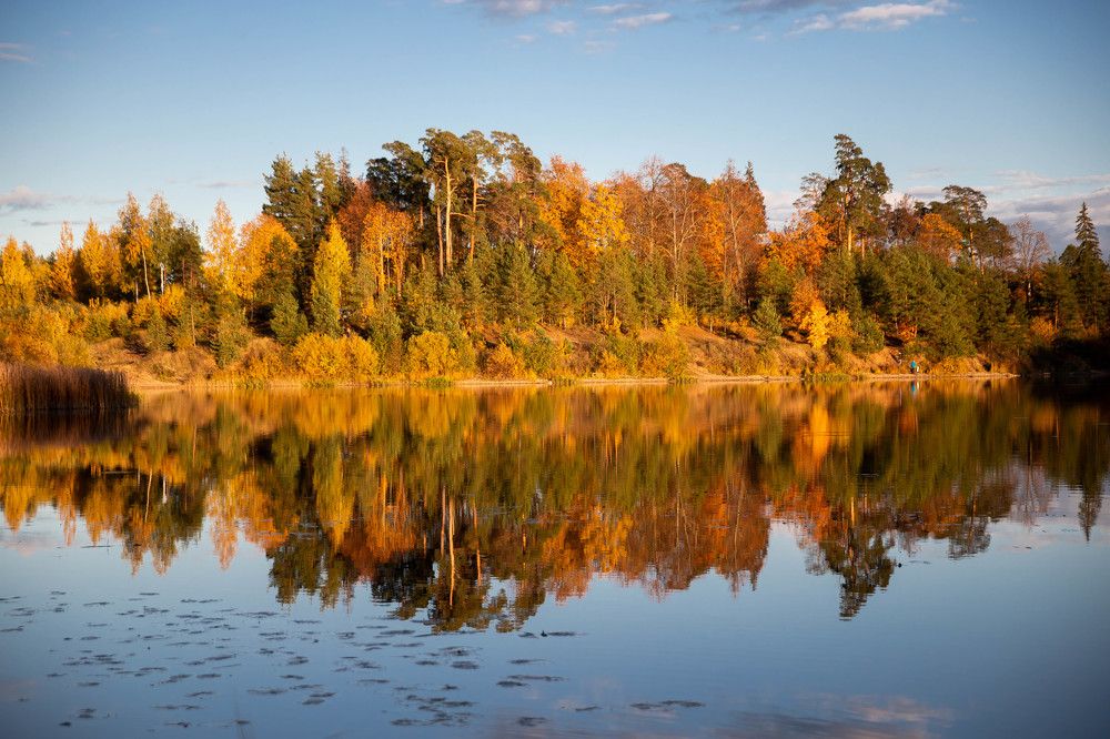 Photograph by Вязникова Анна