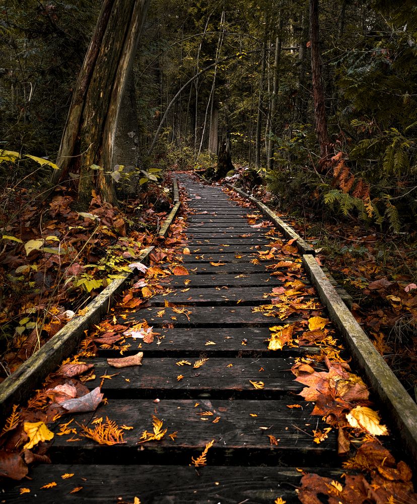 Photograph by Greg Noakes