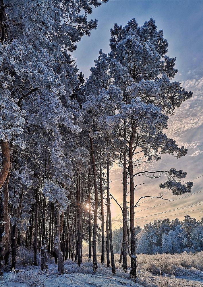 Photograph by Юлия Поликарпова