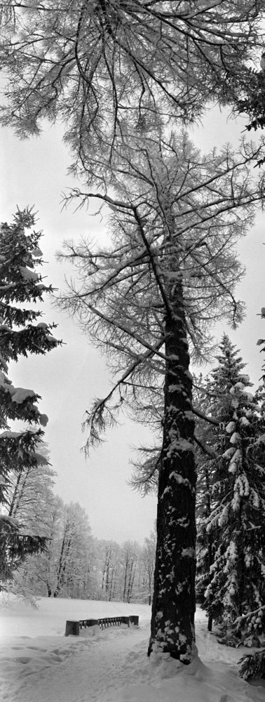 Зимний горизонт.