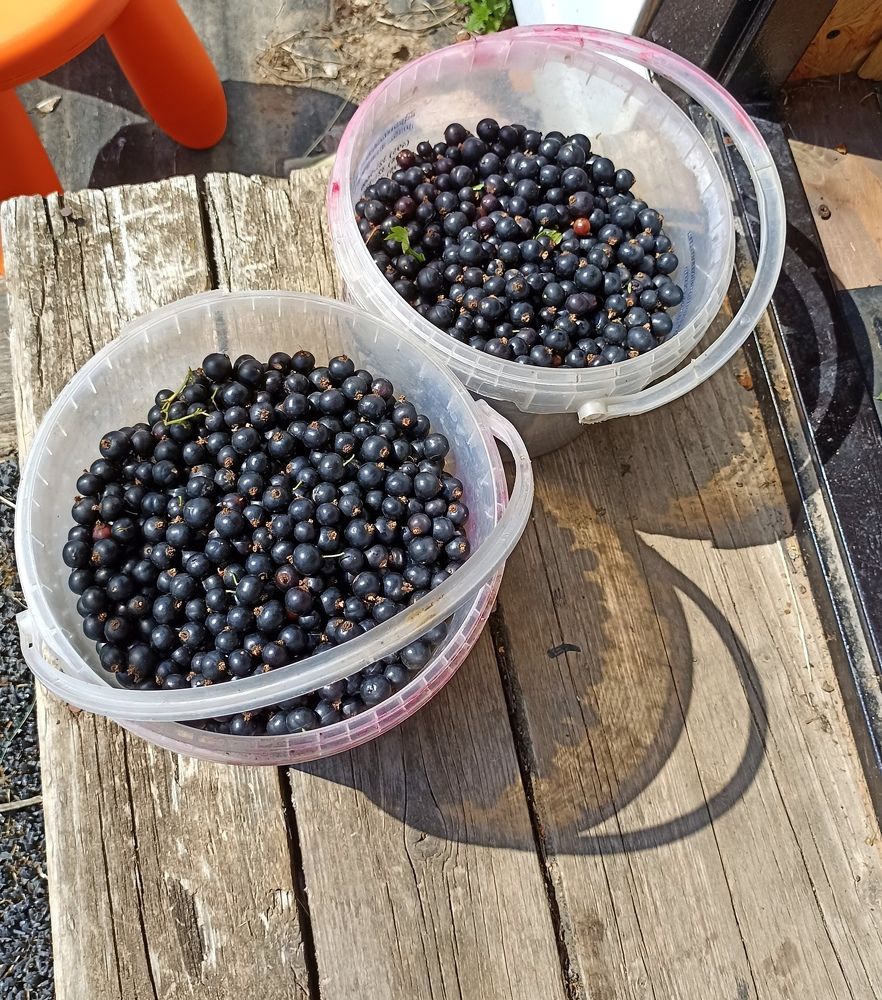 Photograph by Татьяна Смирнова