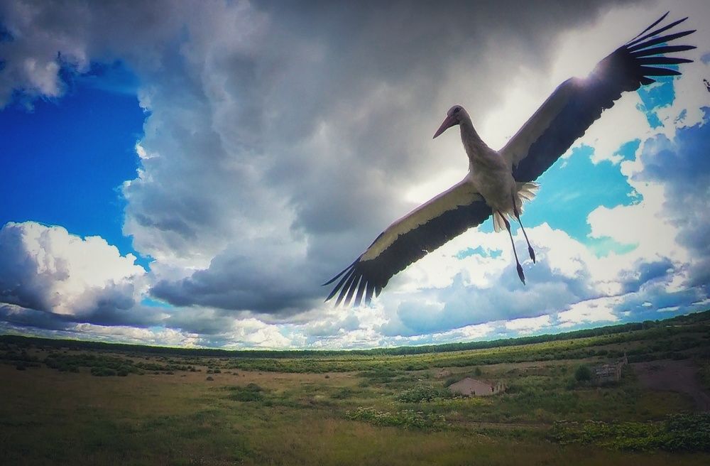 Photograph by Andrey Purtov