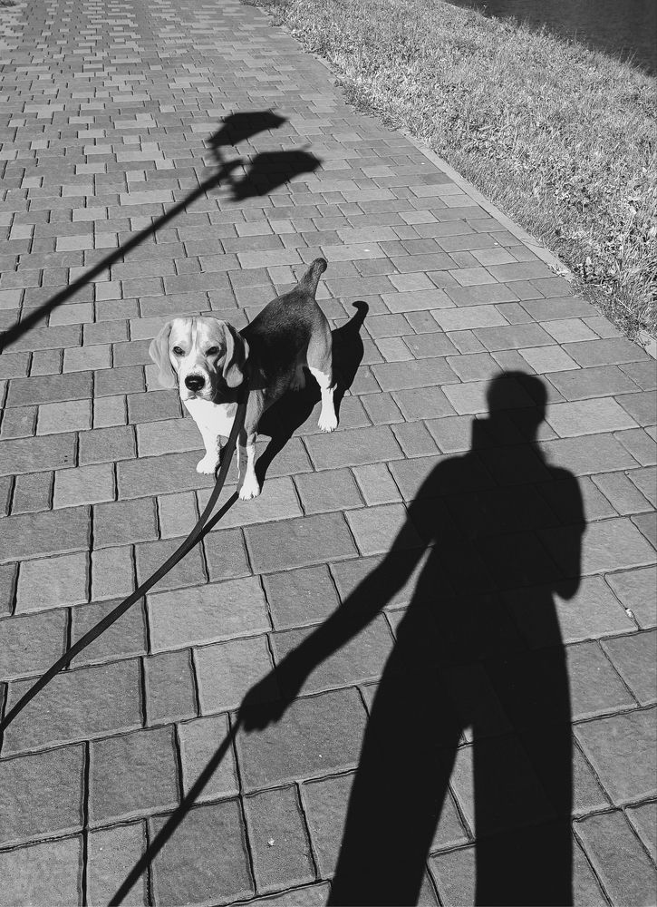 Фотография автора Елена Бурцева