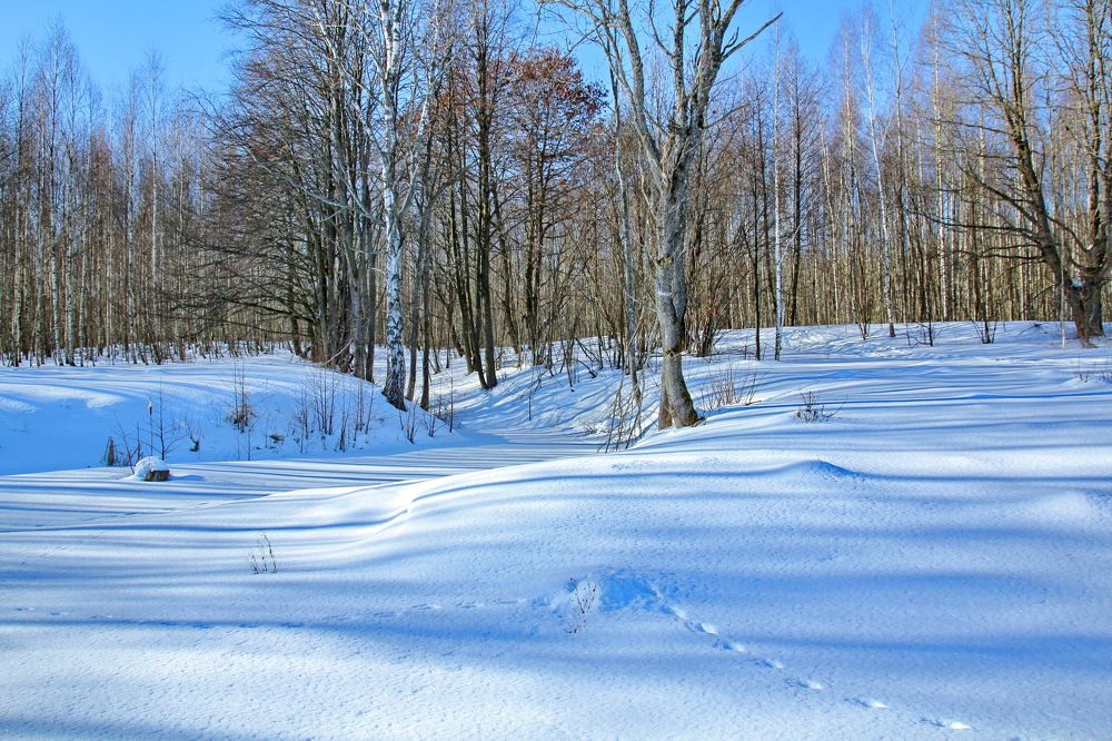 Photograph by Виталий Симоненков