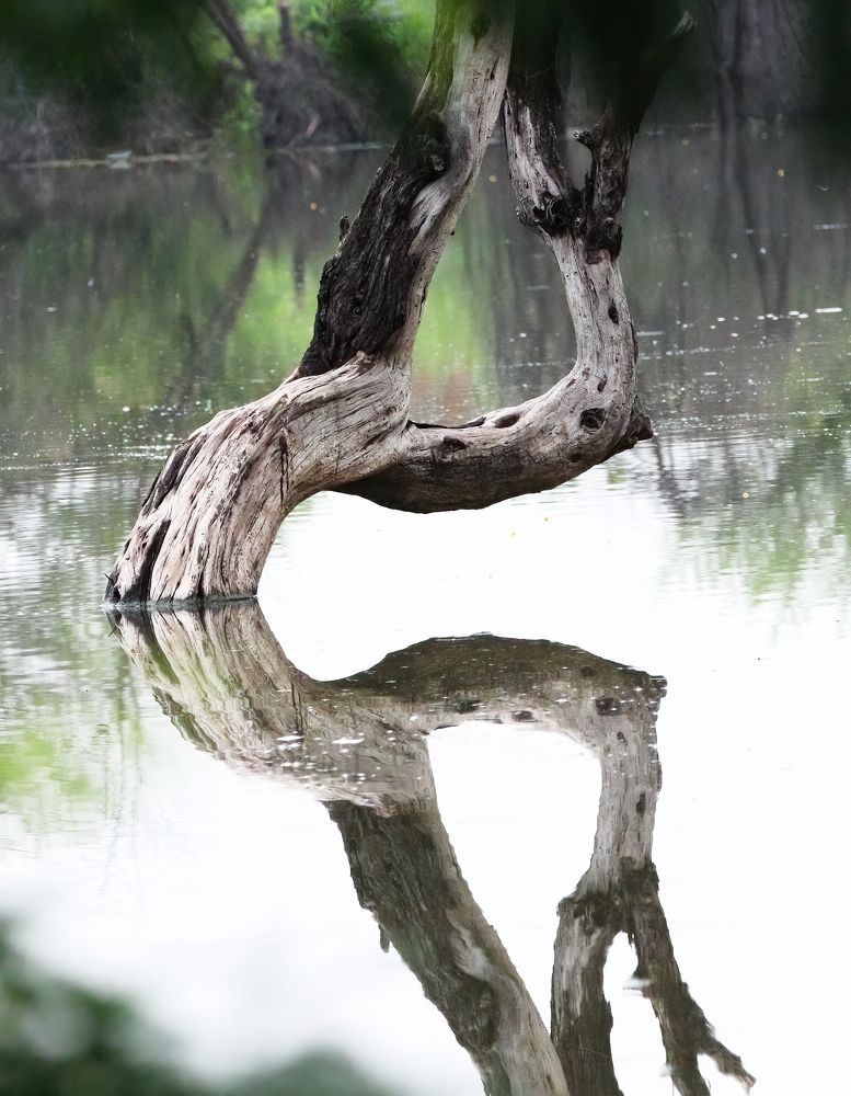 Photograph by Dhruv Shilpi