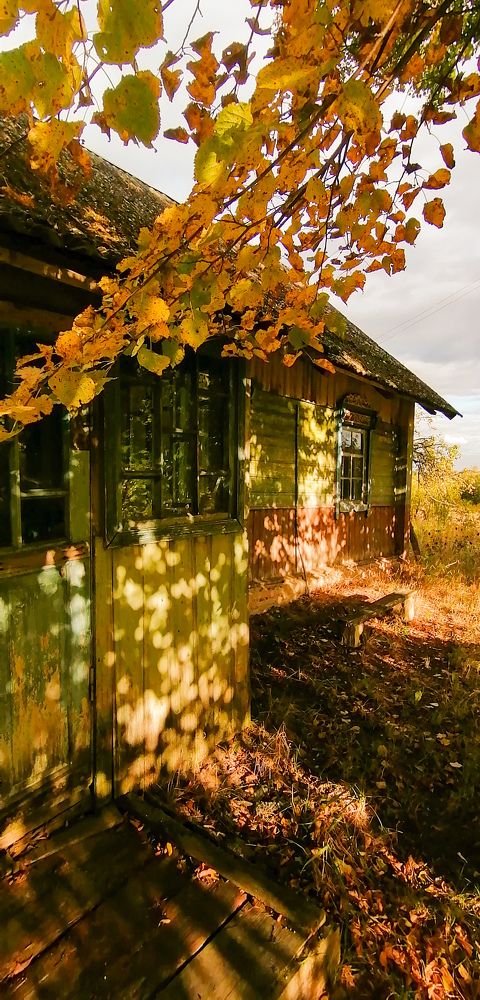 Photograph by Наталья Клячина