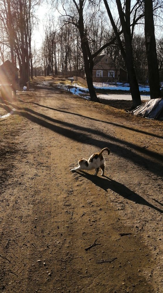 Photograph by Наталья Клячина