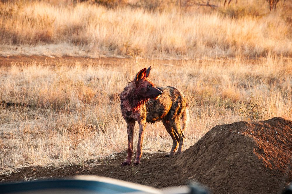 Photograph by Elnora Atnagulova