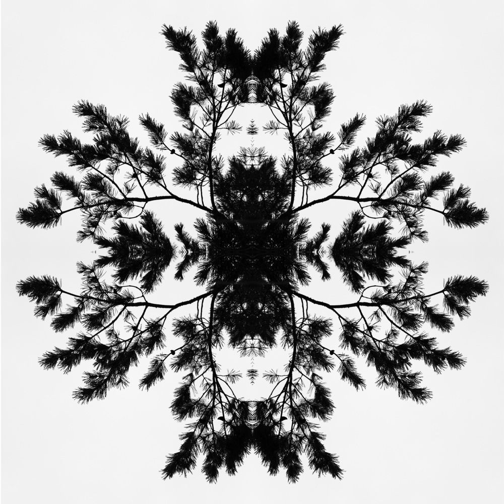 Тёмная снежинка 2