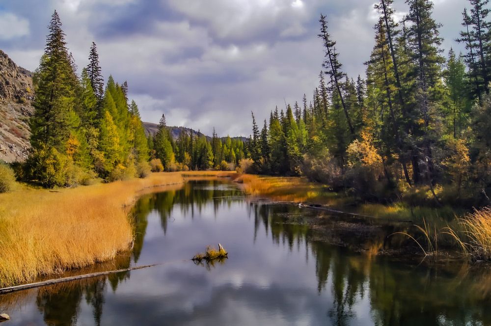 Старица Чуйская . Начало осени