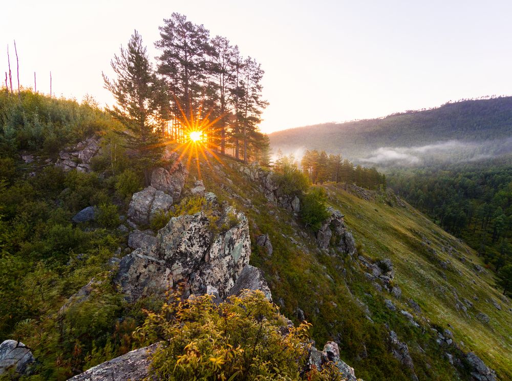 Photograph by Портных Дмитрий