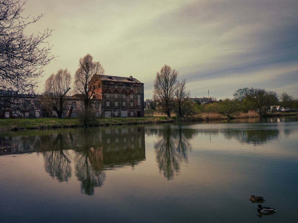 Photograph by Ольга Еженевская