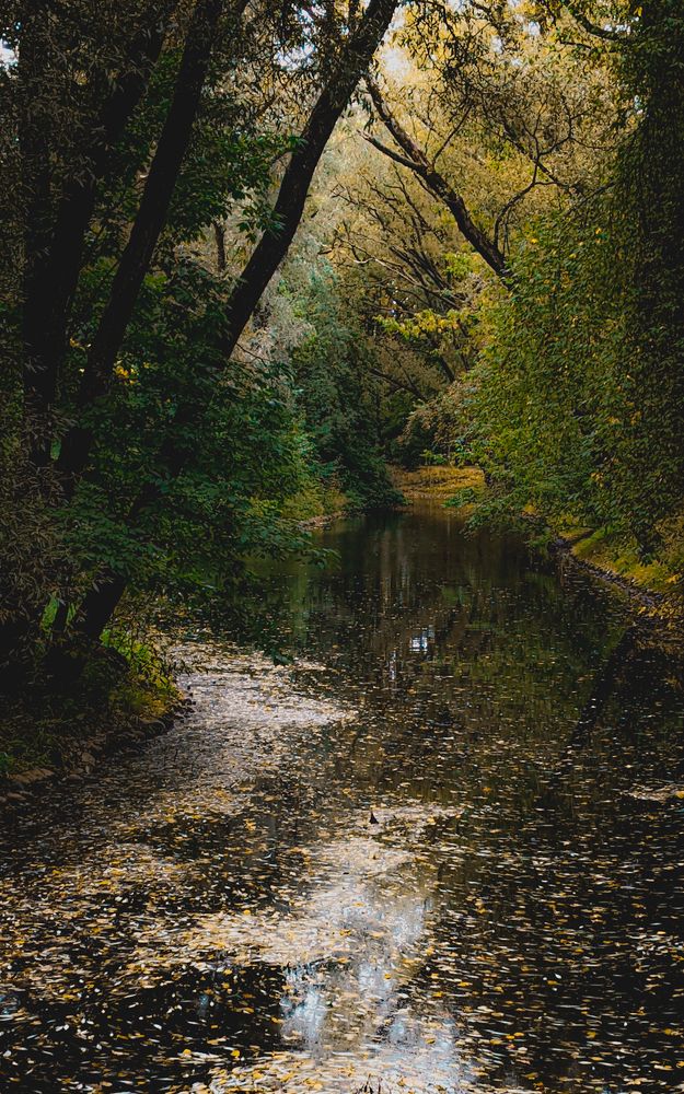 Photograph by Дарья Макаревич