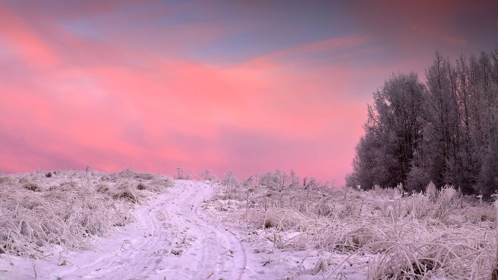 Photograph by Титов Александр