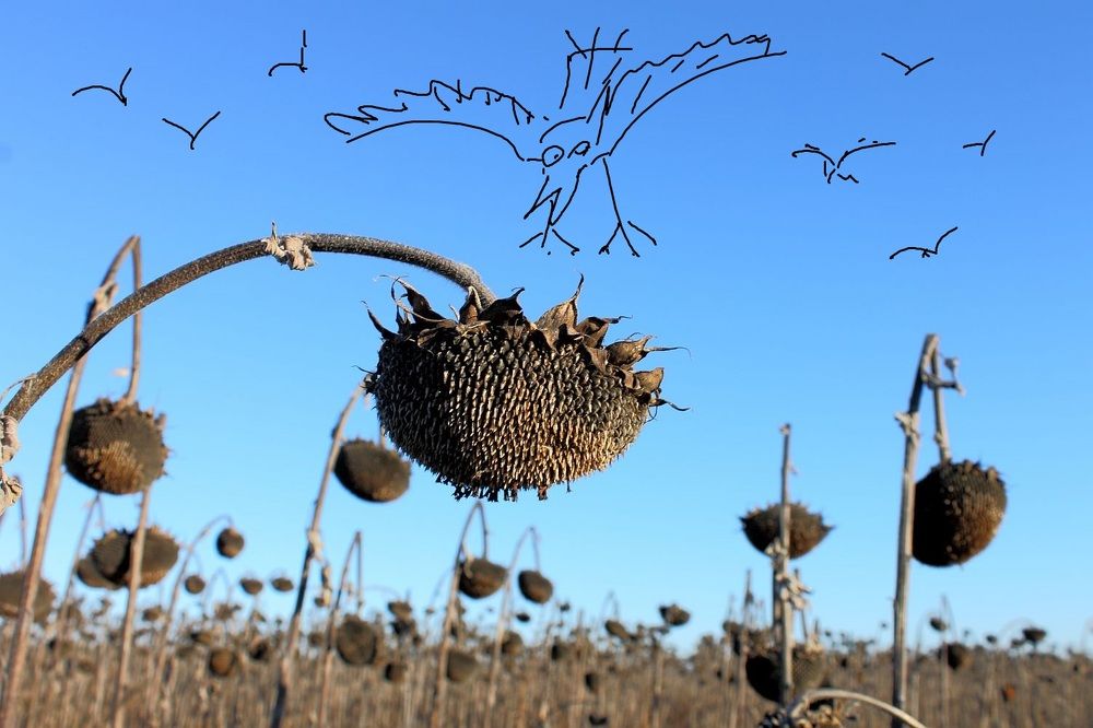 Photograph by Юрий Варюхин