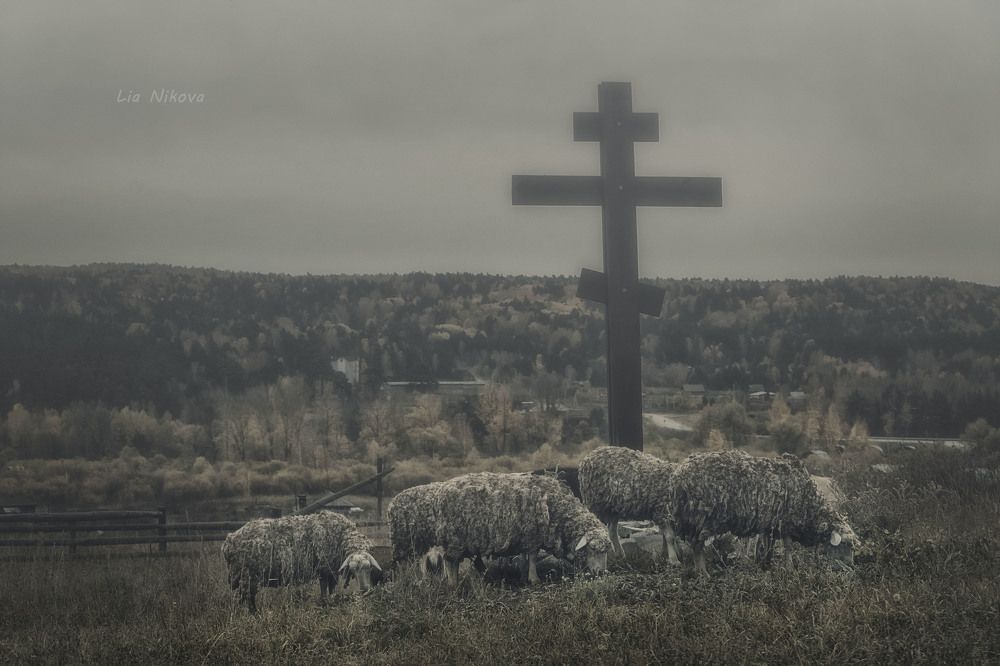 Photograph by Юлия Лушникова