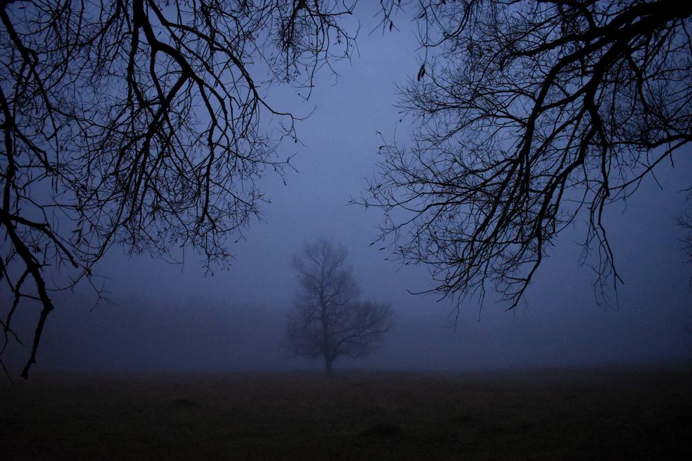 Photograph by Анастасия Донченко