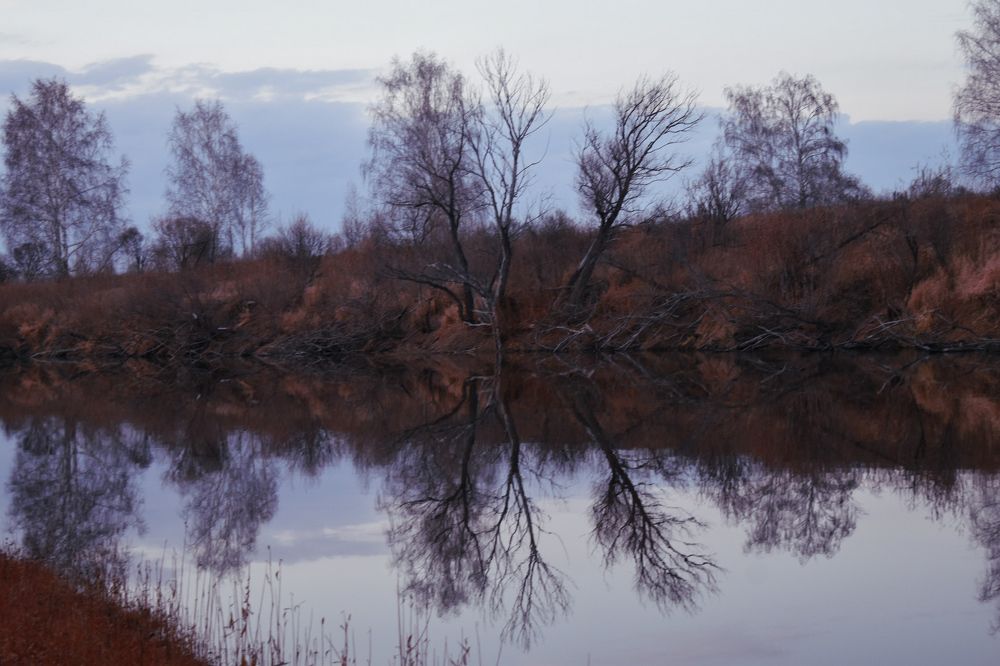 Photograph by Анастасия Донченко