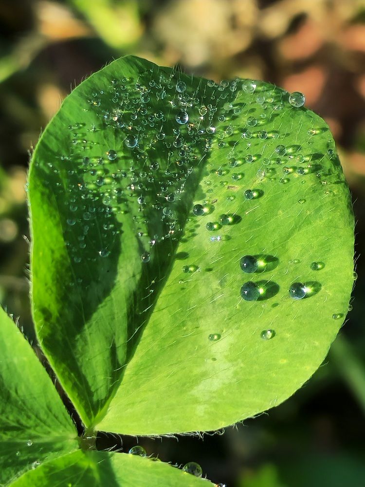 Фотография автора Ольга