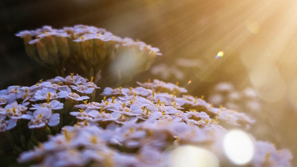 Photograph by Ali Rashtbari