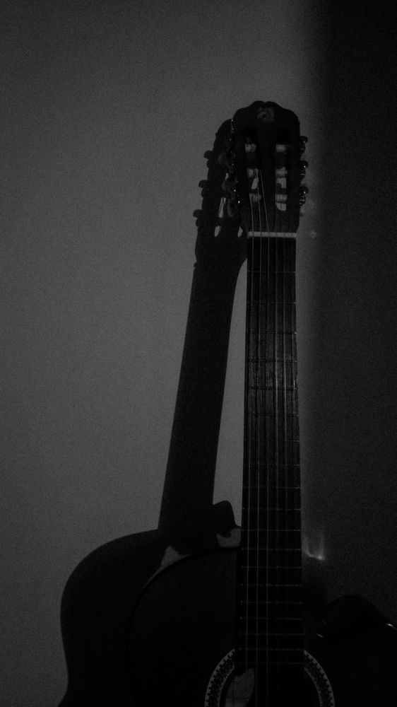 Photograph by Ali Rashtbari