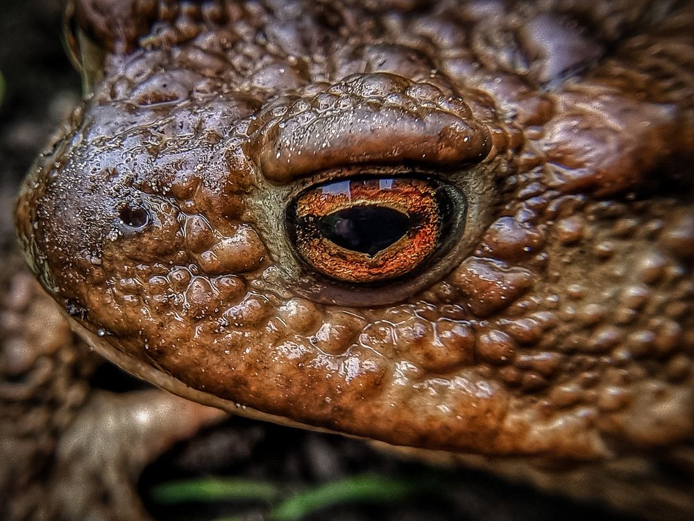 Photograph by Dina Chaica