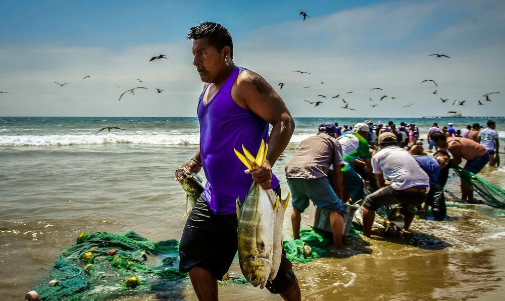 Photograph by Otto Acosta