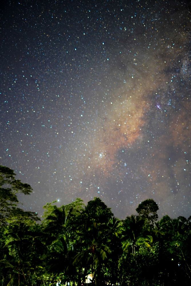 Photograph by Tharindu k