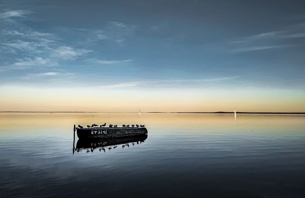 Photograph by Ольга Еженевская