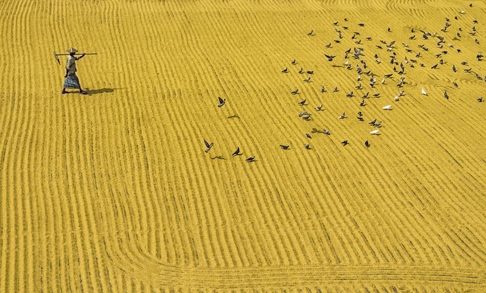 Photograph by Debraj Das