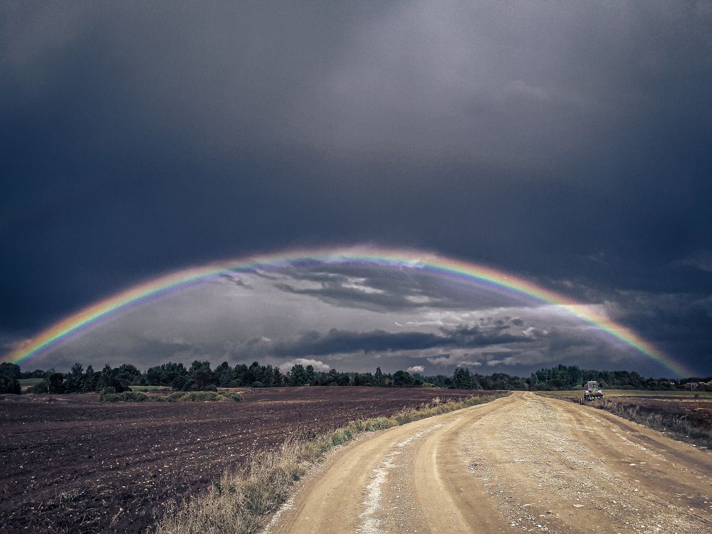 Photograph by Ольга Еженевская
