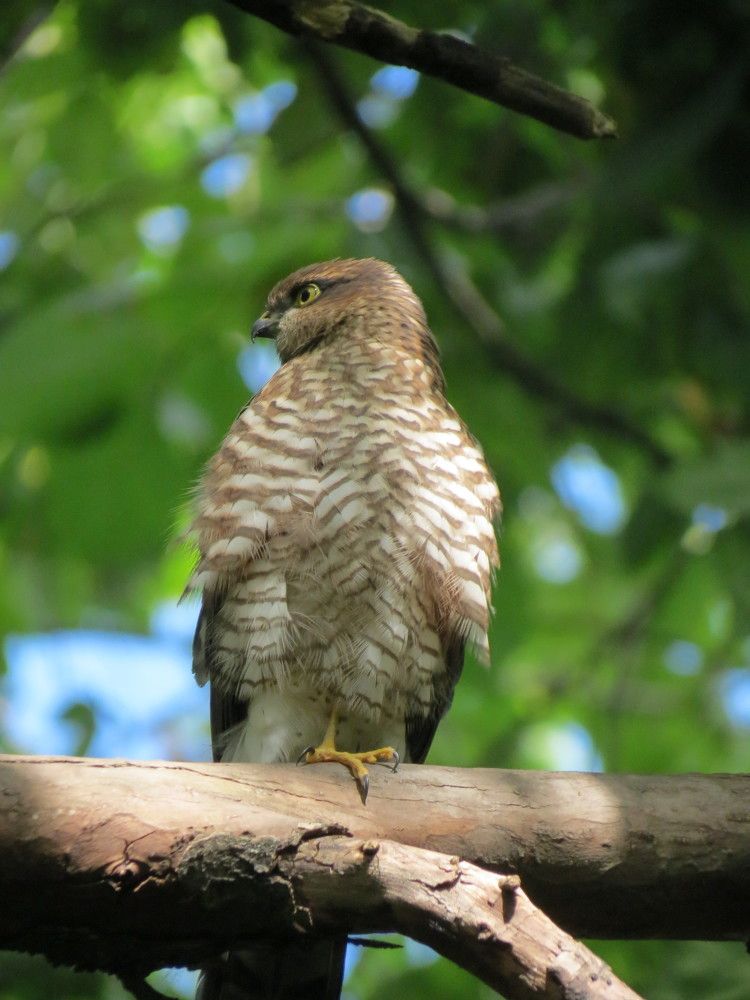 Photograph by АЛЕКСЕЙ